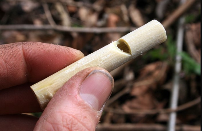 Elder carved whistle.
Whittle a stick and learn a woodland bushcraft skill.
Whittling a stick is the perfect way to pass the time as you sit within the forest. It’s an inexpensive skill to learn- all you need is a penknife (or even potato peeler!) to get started. Learning how to use a knife safely is also a great skill to teach children. 

Here you'll find some safety information, the different types of wood to whittle, and some whittling projects that are perfect for any beginner.

Safety

Be sure to have a grown-up supervising, especially when kids are learning to whittle for the first time. 

You can start kids off with a peeler, which is great for stripping the bark off wood, or go for a lockable penknife. These are better than normal penknives as they can’t accidentally close on children’s fingers. Teach them to always push the knife away from their body, holding the wood firmly with their other hand.

Although there are some techniques that do require you to whittle towards the body. I would recommend teaching younger children who are less experienced not to whittle towards their body. Then once they get a bit more experienced you can teach them how to do this in a safe way.

You can easily lose control of the knife or get it stuck if you try to cut off a piece that is too big. So teach children to only cut off a little bit of wood each time. You’re also less likely to make a mistake if you cut off smaller pieces- remember you can always cut off more wood but you can never add any more.

When you’re setting your kid up with the knife make sure they whittle in front of their knees, or to hold the wood over to one side. Teach them never to whittle with the stick on their lap as this will position the knife close to large blood vessels in the legs. You could also get them to whittle on a table. Make sure children close the blade when they want to get up or if they finish, and never walk around with the blade out.

Types of wood you can whittle

Silver birch, lime, sycamore, alder and willow are all fairly soft which makes them easy for kids to carve. 

If you’re making bows and arrows then look out for ash, holly, hickory and yew which are all flexible so are especially suited for making bows. 

If you’re not sure how to identify these trees and would like some tips on tree identification in UK woodland, then be sure to check out my general guide to tree identification. 

Remember to only cut down wood in places where you know you’re allowed, or have asked the landowner.

Tools you need

You can definitely start kids off with just a potato peeler or lockable penknife. 

I would recommend looking out for a pocket knife with lots of different blades (a saw is especially useful). But once you get more advanced you could also invest in some special knives. A knife with a curved blade is almost essential for carving spoons, bowls and ladles.

It’s also worth bringing along a knife sharpener (remember that a blunt blade is actually more dangerous than a sharp one). When you find yourself needing to push harder to cut with the knife, that’s a good indication that it’s time to sharpen the blade. 

You could bring along some sandpaper with different grits to polish your finished creations, and some oil or varnish to treat the wood.

Marshmallow toasting sticks

I think that one of the best projects to make as a beginner is a marshmallow stick. It’s also extremely useful for camping. Find a stick around 0.5 thick then strip off all the bark and whittle the end into a point. That’s it! 

You could even make a double, triple or quadruple pronged skewer if you find a stick with the right shape. 

For loads of tips on marshmallow toasting, an essential camping activity, check out Moorish Marshmallows cooked on a stick – pack more than you think!

Making spoons

Spoons have always been one of my favourite things to whittle. 

I would definitely recommend finding a tutorial online, but here is the method I usually use when making spoons. Find a piece of wood the width of your spoon head, and then cut it a few inches longer than you’d like the length of the spoon to be. Then whittle the wood lengthways to carve the handle section, holding onto the bit where the head of the spoon would be and making sure not to make it too thin.

Use a saw to cut the head of the spoon to your desired length and carve the head of the spoon whilst holding onto the handle. As you can imagine, a curved knife is really useful for carving out the inside of the spoon. 

It will usually take a few tries before you get it right but making spoons is so rewarding, especially as you’re creating something that you can actually use at home.

Weapons

Excitable kids will usually be keen to create spears, swords, staffs and bows and arrows and any other weapons they can play with. 

Just make sure that they don’t use them to have any actual fights. If you find a y-shaped piece of wood, you could also create slingshots, these are so much fun to whittle and then try slinging acorns at a tower of stones. 

You could even have a competition for who can get an acorn to go the furthest.

Or a competition to see who can knock the stone off the top of the pile first.

Let your imaginations run wild!

Once you’ve improved your whittling skills you can get creative. 

You could try to create mushrooms, woodland animals (such as bears and squirrels), or carve swirls out of the wood. 

If you need some inspiration, why not look closely at the shape of the wood and see where your imagination takes you. If you find pieces of wood with a hard outer layer and a fluffy, almost hollow interior. 

Then another great project is carving out the middle to create a whistle. Elder is a super wood for this and it is used a lot by forest school teachers.

Can highly recommend an article by Jon's Bushcraft called Making an elder whistle if you'd like more detail.