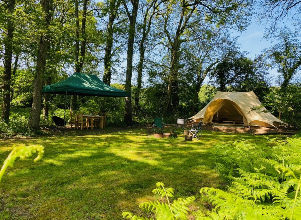 West Sussex glamping in breath taking forest location. Relax amongst trees with a cosy campfire, perfect for creating treasured memories with loved ones.
Fox Wood Luxury Glamping Bell Tent private glade.
Glamping Campsite Sussex - South Downs glamping & camping.
Glamping at breathtaking Sussex campsite. Relax in a Luxury pre-pitched Camping tent.  Enjoy Glamping and Sussex camping at South Downs camping forest.
Our Glamped Emperor Bell Tents are privately located in there own glades, and are great for 4 person families and couples. 
With a bit of extra space for a single family joining in a Woodland Tent Pitch - needs to be booked separately.
What you get when you book a Luxury Emperor Bell Tent Glade?
Your bell tent is equipped with carpets and a comfy bed. 
No inflatable mattress.
There is a double bed and 2 single beds in the tent.
All beds have fresh linen mattress covers, but you do need to pack your own bedding and pillows.
Inside there are magical lanterns for when the sun goes down.
With a remote for your inside chandelier lights, so you can stay snuggled in bed.
The outside lights are solar and light up automatically as it gets dark.
Outside is a campfire area with campfire chairs and log ring tables.
The Fire pit has a grill to cook on too.
And to the side away from the fire is a beautiful farmhouse table with a bench and seats for eating meals and playing cards.
There is a gazebo over the large table just in case of damp weather.
We ask that no food is put inside the tent, so there is a large food cupboard near your dining table to keep all your edibles.
There is no bedding in the bell tent, so you will need to pack duvets and pillows.
You'll find the shared washing and shower facilities nearby.
You'll need to pack:
Bedding, blankets, pillows
Cooking equipment, including pots, pans, utensils
Glasses, crockery and cutlery
Towels and torches
Food and drinks.
But we've taken care of a tent, mattresses, table and seats :-).
There is a large area also in this glade which is suitable for friends to book a separate Woodland Pitch (only 1 extra tent) and they can link it with your booking.  They'll need to book a Woodland Pitch and bring their own tent.
If you are planning to glamp and you are joining friends with tents (more than 1) then you must book the Glamping Bell Tent (suitable for group gatherings) as this is pitched in the forest with plenty of space for friends to camp with you.