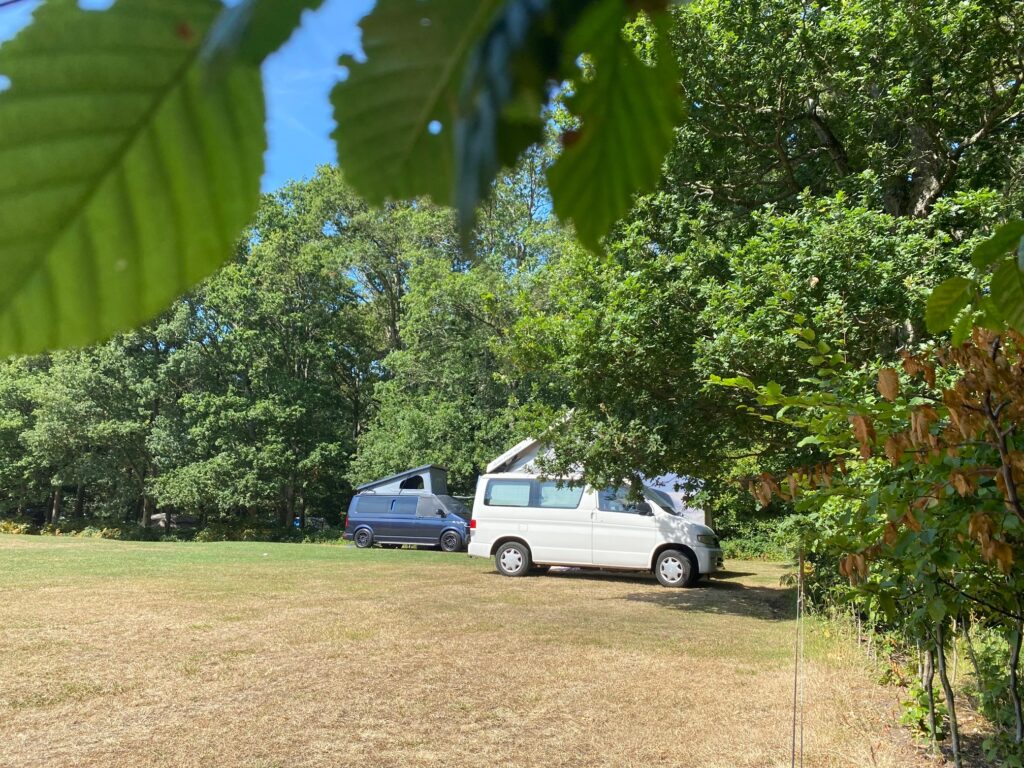 Sussex campervans welcome. Hop off the highway into Fox Wood's fabulous meadow campervan site. Plan your campervan South Downs visit today.
Fox Wood Campsite meadow is the has 4 campervan camping pitches to book.
Campervan Camping Sussex - South Downs camping & glamping Sussex Campsite. Fox Wood welcomes Campervans to super South Downs camping and glamping site. Spacious campervan camping pitches in meadow. Camping Sussex.
Fox Wood is a stunning woodland campsite with a an exclusive number of Campervan Pitches located along the perimeter of the campsites large meadow at the edge of the forest.

This pitch is suitable for smaller style campervans, roof top tents and trailer tents. Please NO motorhomes.

We do not have electric hook up or chemical toilet disposal.

You are welcome to join friends who are booking a Woodland Tent Pitch. Just let us know that you are linking booking a Campervan Meadow Pitch and a Woodland Tent Pitch in the notes section of the booking form.

It is also possible to link a Private Glade 6m Emperor Bell Tent with a Campervan Meadow Pitch.

Check out the campsite map to see where all the camping is located.

What you get when you book a Campervan Meadow Pitch?

Your Campervan Meadow Pitch includes:

Bringing your own Campervan (or roof top tent or trailer tent) and pitching in the meadow in a pre-allocated pitch

A Campervan Meadow Pitch includes up to 4 people, with a maximum of 2 adults. You can add extra children to the pitch cost when booking.

You are welcome to put up a shelter next to your van for no fee. But extra tents would require another booking.

Your Campervan is your allocated car for your booking. Please book a car as an extra if you are bringing another car to site

We allocate a campfire within the forest if you are camping with friends who are booking a Woodland Tent Pitch OR provide a firebowl to have a campfire next to your Campervan if you prefer.

Facilities onsite include:

Toilets (no hot water)

Showers - 6 single showers and 2 larger family sized rooms

Washing up sinks with hot water - 3 sinks outside and 3 located in a covered cabin

Play area with a slide and swing

Meadow for ball games, picnics and sun seeking

Small shop by reception which sells logs, sweets, snacks and a few essentials (e.g toothbrushes & torches)

Campervan Meadow Pitch Gallery