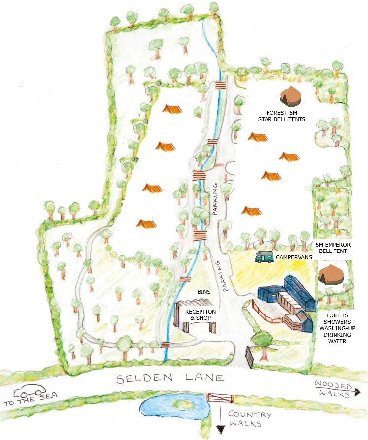 This campsite West Sussex Map is great for finding your way at Fox Wood Campsite.
Map of the campsite West Sussex.
Check our Fox Wood Campsite map so you can plan your stay and kids can explore with confidence whilst relaxing at this magical wooded campsite West Sussex.

Fox Wood is a stunning woodland campsite with a focus on family Woodland Tent camping at its very heart.

All the Woodland Tent camping is located in a mature and magical oak forest in the bottom of a sheltered valley.

Every woodland glade has a square metal firepit for cooking and socialising. Every campfire is suitable for group gatherings.

There is a central parking track which provides easy access to all the camping pitches. 

No cars are allowed in the forest, so you'll find wheelbarrows are provided to assist with getting all your camping gear from your car to pitch.  

As you can see from the map below, all camping pitches are easily accessed from the central parking track. No pitches are far from your car.

We can offer a chargeable "gear to pitch" site buggy service if you require assistance. The buggy can take a boot load at at time from your car to your pitch. Please note this service only operates up to 7pm.

